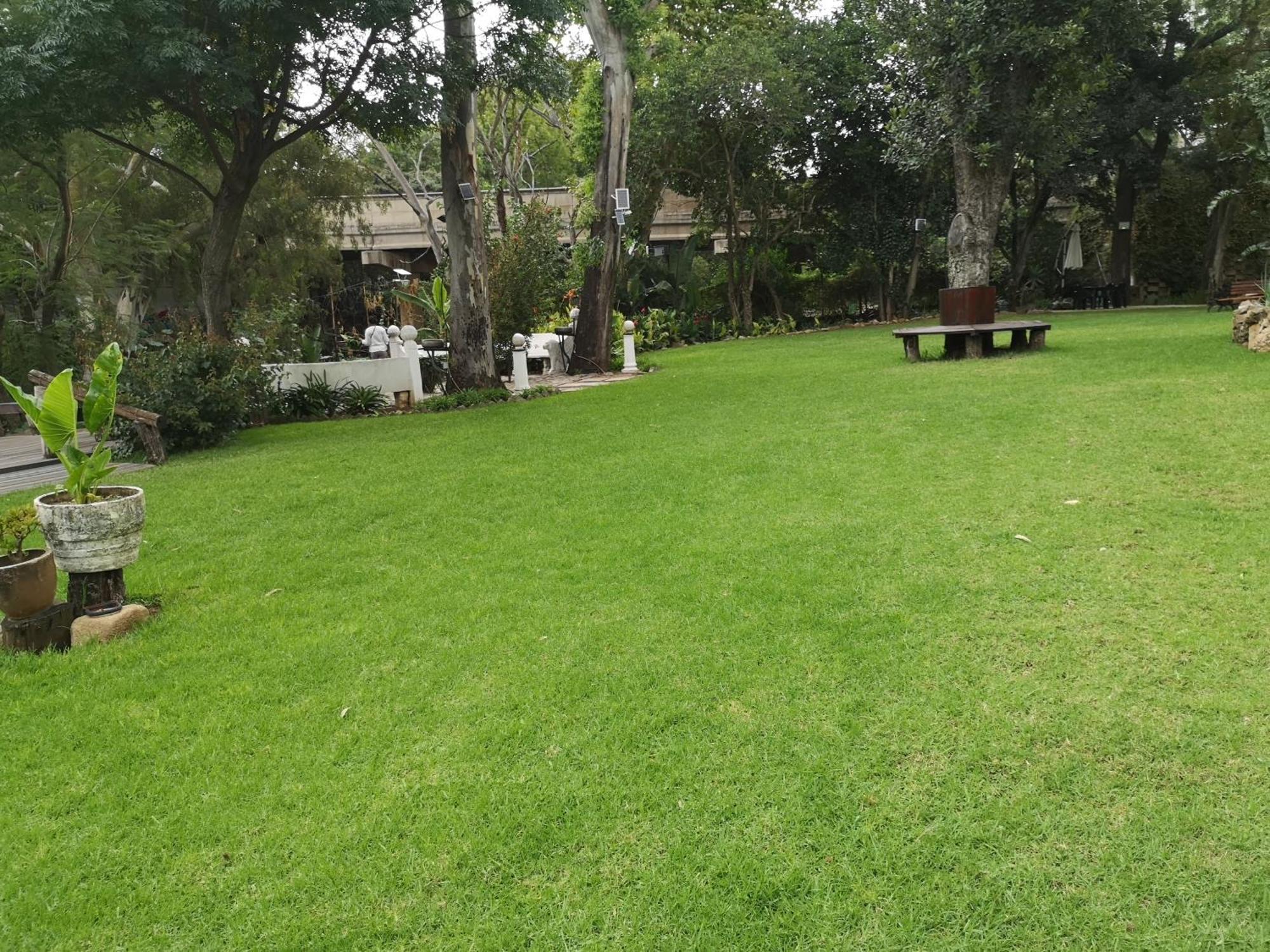 Lotus Guest House Johannesburg Exterior photo